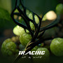 Tracing In A Vine (Instrumental Version)