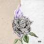 Everlasting Money (Explicit)