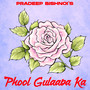 Phool Gulaaba Ka