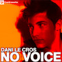 No Voice