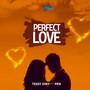 Perfect Love