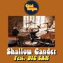 Shallow Gander (feat. Big Sam's Funky Nation)