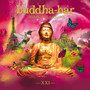 Buddha-Bar Paris, The Origins (XXI)