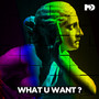 What U Want (The Remixes)