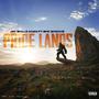 Pride lands (feat. Bmc Smoove) [Explicit]