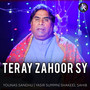 Teray Zahoor Sy