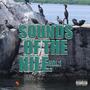 Sounds of the Nile I