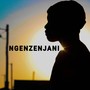 Ngenzenjani