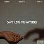 Can't Love You Anymore (feat. GaBrielle) [Explicit]