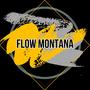 Flow montana