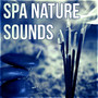 Spa Nature Sounds – Migraine Treatment, Pain Relief, Relaxation Exercises, Massage, Pain Killers, Serenity, Healing Power, Sleep Music, Fall Asleep, New Age Music,