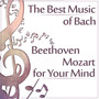 The Best Music of Bach, Beethoven, Mozart for Your Mind: Classical Music for Concentration and Focus, Boost Your Brain Power