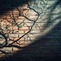 Walls That Fall
