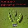 WASTEMAN FREESTYLE (feat. Carlitoo)