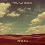 T23M 345 TRIBUS (Explicit)