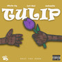 Tulip (Explicit)