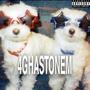 4ghastonem (Explicit)