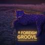 A Foreign Groove