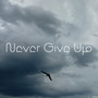 Never Give Up