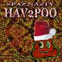 HAV2POO (Explicit)