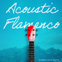 Acoustic Flamenco