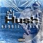 HUSH (Explicit)