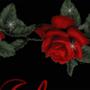 void (i'm probably going to delete this lol) [Explicit]