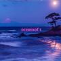 oceansoft