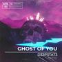 Ghost of You