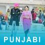 Haan Mein Punjab