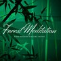 Forest Meditation - Bird Sounds Nature Music