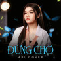 Đừng Chờ (Cover)