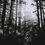 SAD IN THE ROOM (Explicit)