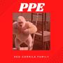 PPE (Explicit)