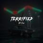 Terrified (Explicit)