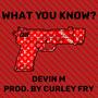 What You Know? (feat. Devin M) [Explicit]