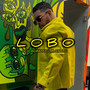 Lobo