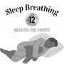 Sleep Breathing Rhythms 12BPM