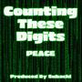 Counting These Digits (Explicit)
