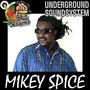 Undergroundsoundsystem (Grab You Box And Run (You Don't Care Riddim) (feat. Mikey Spice) [Dubplate] [Explicit]