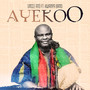 Ayekoo (Live)