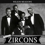 Presents The Zircons