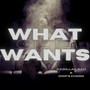 What She Wants (Explicit)