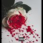 Roses (Explicit)