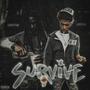 Survive (feat. LiekStar) [Explicit]