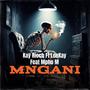 Mngani (feat. LeeKay & Mpho M)