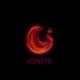 Ignite (feat. Our Last Oath, Mindead, UNREDD, The Great Hollow, Virocracy, The Oblyvion, Lies of Jolie, Escape from Wonderland, Project Helix, Keys To Clarity, Mensis, Mavis & Where Eternity Ends)