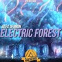 Electric Forest