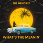 What's the Meanin' (Explicit)