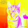 Polaroidz Synth Angel A Capella